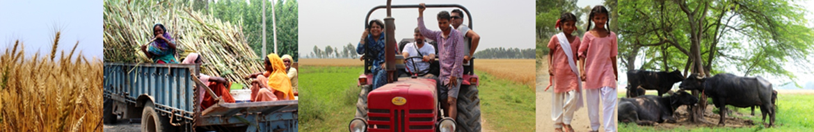 A Day in the Punjabi Countryside